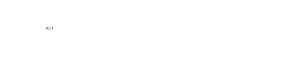 All In One Parking Solution