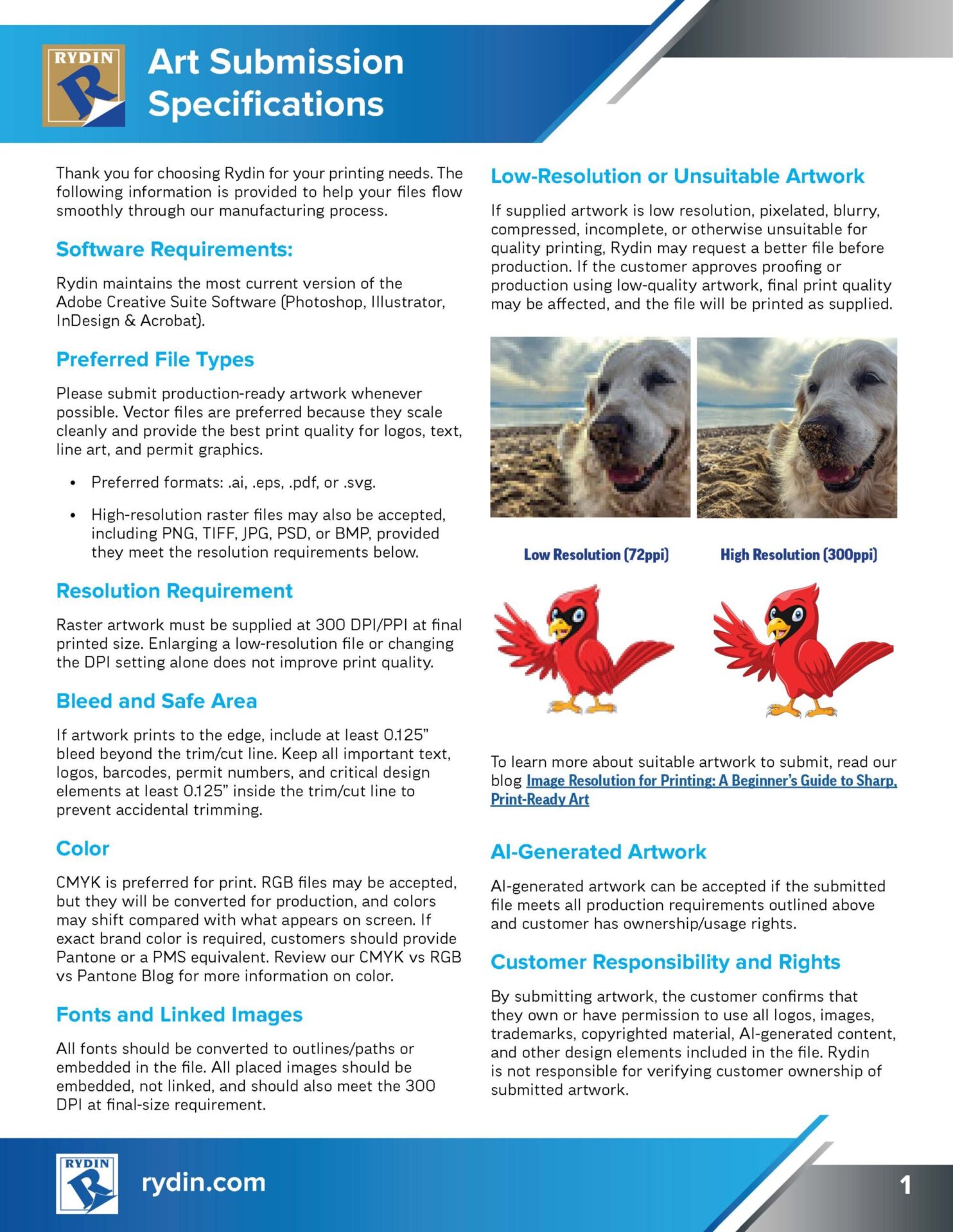 Rydin Art Submission Specifications